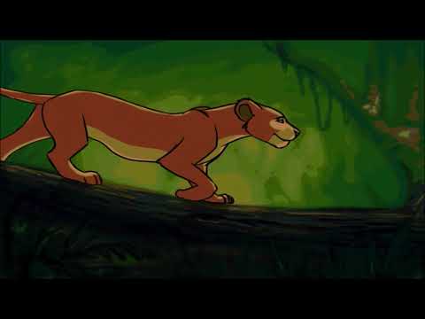 Видео: Жануарлар қайда тіршілік етеді?