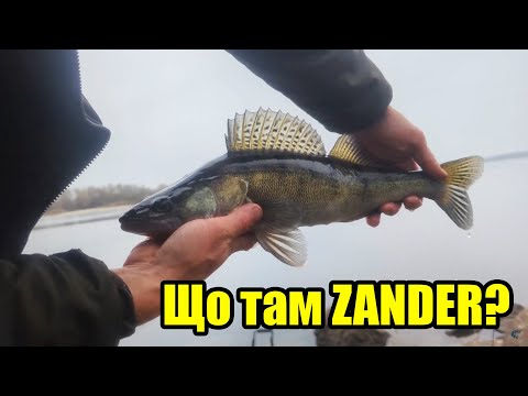 Видео: Обрив на обриві, Але судака впіймав.