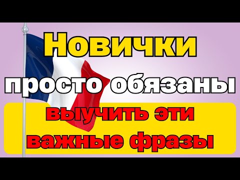 Видео: Эти Важные Фразы Покрывают 95% Французского Языка!