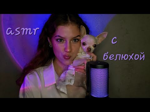 Видео: АСМР🤎триггерные клички🐶