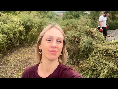 Видео: Правда о Нашем Загородном Домике / Чудо Капли От Аллергии/Готовлю Пирог /Замужем за Казахом /Влог176