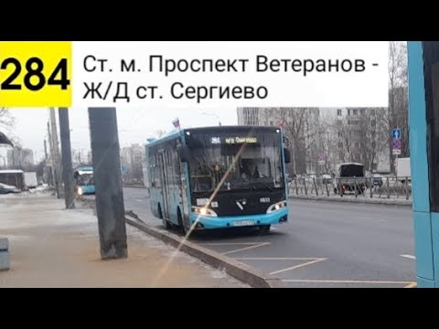 Видео: Автобус 284. Ст. м. Проспект Ветеранов - Ж/Д ст. Сергиево