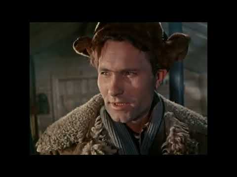 Видео: Вот так надо дрессировать бабу