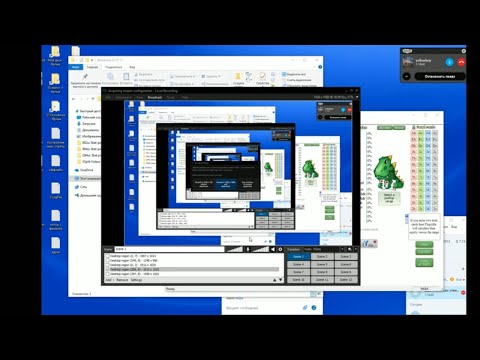 Видео: контбеты
