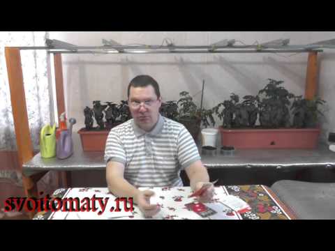 Видео: Когда сеять семена на рассаду