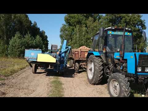 Видео: Вигрузка картоплі на 2ПТС-4. Картопляний комбайн Bolko(Болко) Z-643, Мінітрактор Jinma (Джинма) 244E