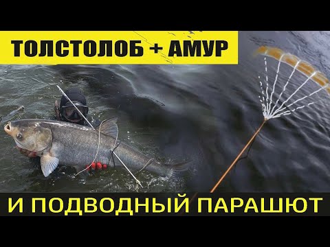 Видео: Удача на втором нырке КАРТА ПОДВОХА