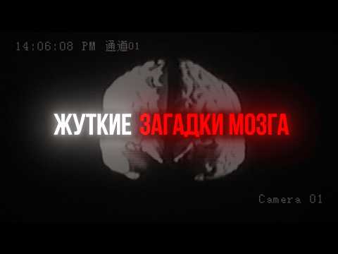 Видео: ТРЕВОЖНЫЕ ТАЙНЫ ЧЕЛОВЕЧЕСКОГО МОЗГА