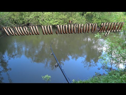 Видео: Голавли и ЩУКА на майского жука, в начале мая! Рыбалка на реке Сосна, 2024!