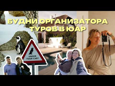 Видео: работа гида в Кейптауне и проверка вилл на годность для туров | vlog40