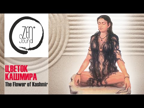 Видео: ЦВЕТОК КАШМИРА | Концерт-медитация ZEN.sound на Avatar Yoga Festival