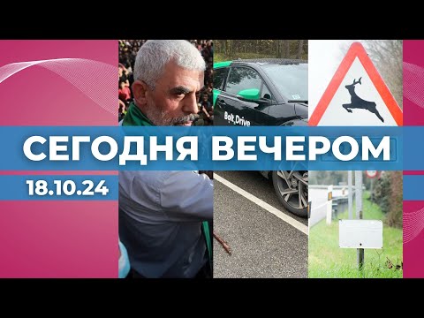 Видео: Гибель Синвара подтверждена | Ущерб каршеринга | Регистрация сбитых животных