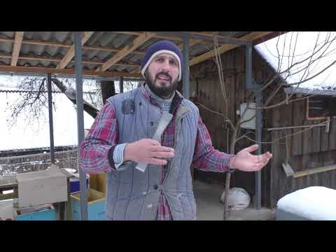 Видео: Улей из ЭППС . Первые испытания и первые ошибки ))) 3.01.2019