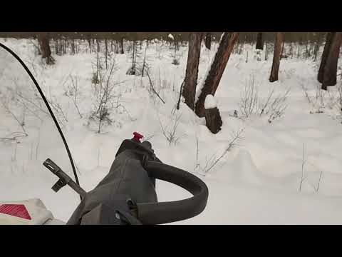 Видео: промысел соболя 2024-2025