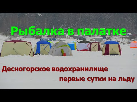 Видео: зимняя рыбалка в палатке на Десногорском водохранилище - выбор места и стартовый закорм!