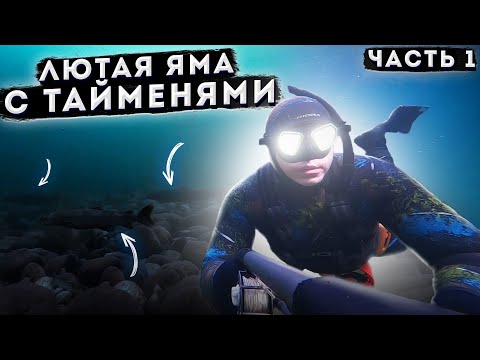 Видео: НЕ МОГУ ПОВЕРИТЬ! ТАЙМЕНИ ВОДЯТ ХОРОВОД ВОКРУГ МЕНЯ (часть 1)!