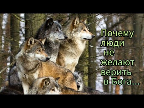 Видео: Почему люди не желают верить в Бога...