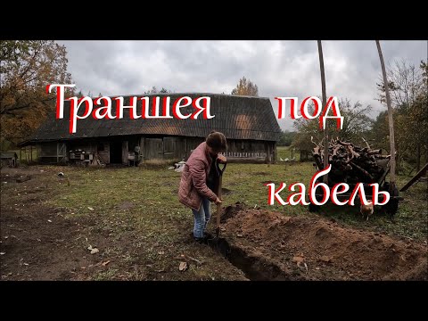 Видео: Сняла обшивку а там... Жизнь на Лесном Хуторе.