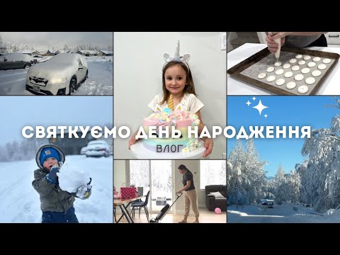 Видео: сніжні бурі і день народження доньки | життя на Алясці
