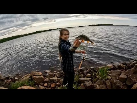 Видео: МИКРОДЖИГ в заливе. Ловля Окуня на Ультралайт. Окунь на Микроджиг