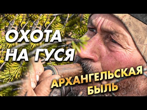 Видео: ОХОТА НА ГУСЯ / Архагельская быль / ЭТО НЕ СКАЗКА