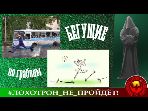 Видео: Бегущие по граблям...(Автор - Станислав)