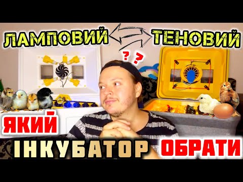 Видео: Який інкубатор обрати⁉️ ЛАМПОВИЙ чи ТЕНОВИЙ⁉️ особиста порада
