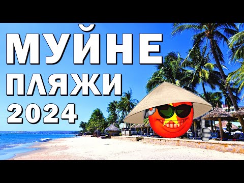 Видео: Муйне - Обзор Пляжей 2024 #муйне #муйне2024 #пляжимуйне #вьетнам2024 #вьетнам