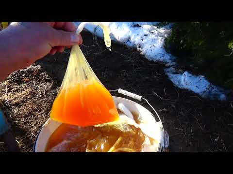 Видео: Стимулирующая подкормка пчелосемей