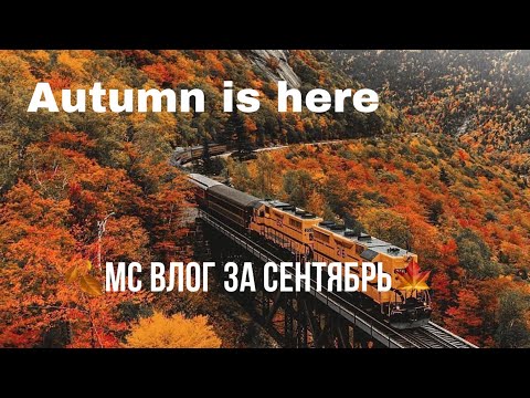 Видео: МС влог за 🍁СЕНТЯБРЬ🍂 2022