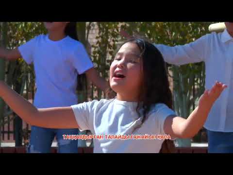 Видео: 26 октября 2025 г.