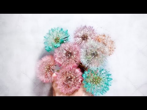 Видео: Цветные одуванчики! Как покрасить одуванчики