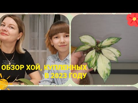 Видео: /Хойи/Хойи, купленные в 2023 году. Ч.3/💘🪴