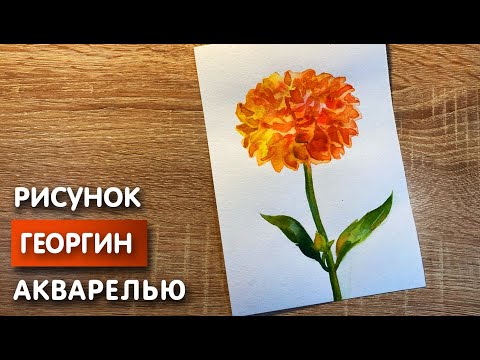 Видео: Как нарисовать георгин карандашом и акварелью начинающим | Рисунок для детей
