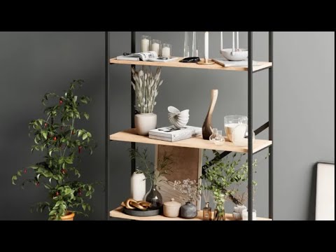 Видео: Новый стеллаж для кактусов 