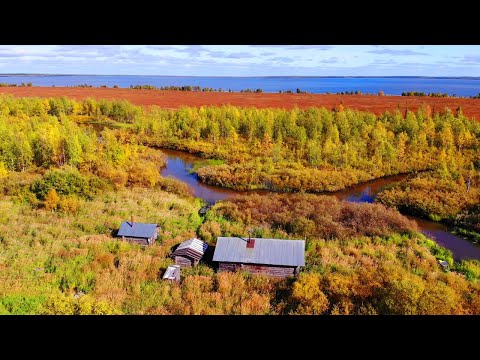 Видео: Путешествие на Ямозеро Ч26. Рыбалка на спиннинг. Окунь. Щука. Один в тайге. Лесная изба - зимовье