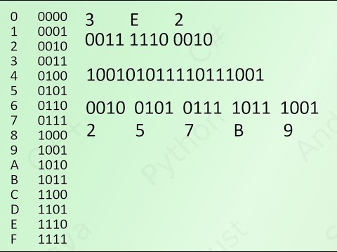 Видео: 02. Двоичная и шестнадцатеричная системы счисления. [Универсальный программист]