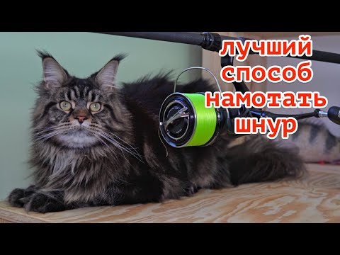 Видео: Как намотать ШНУР, инструкция за 5 минут!