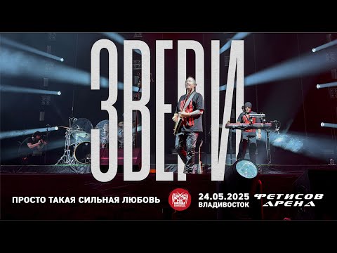 Видео: Звери - Просто такая сильная любовь (Live • Владивосток • 24.05.2025)