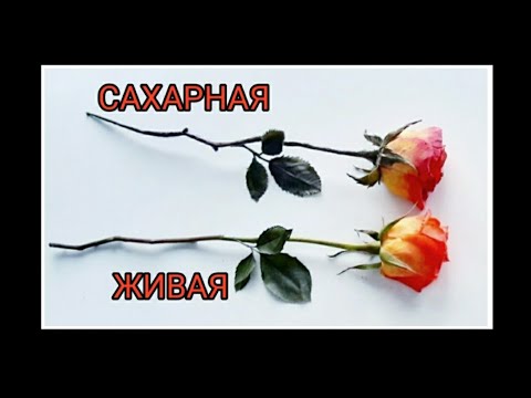 Видео: ЛЕПИМ РОЗУ ИЗ САХАРНОЙ МАСТИКИ🌹