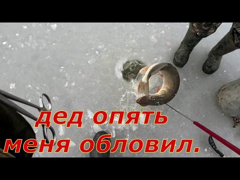 Видео: Рыбалка по тонкому льду. Дед наловил щуки что не унести.