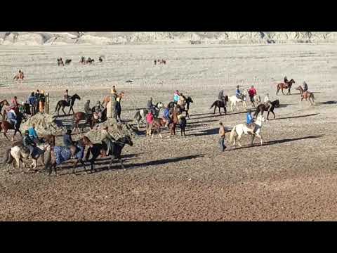 Видео: мусобикаи бузкаши дар нохияи Точикобод. 1.02.2025.