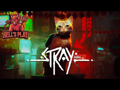 Видео: [РОЗЫГРЫШ] #3 Stray - я, мы - котик!