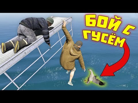 Видео: Приколы в GTA 5 | WDF 143 | Бой с гусем