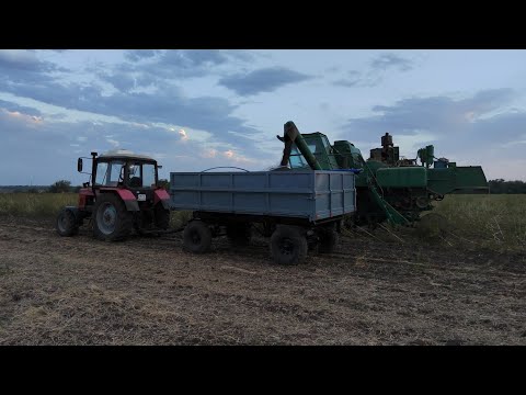 Видео: Трудная уборка подсолнечника.