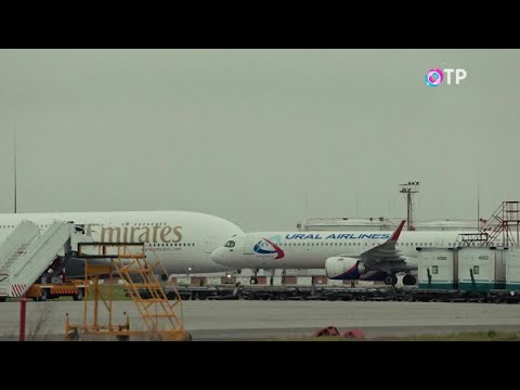 Видео: Закулисье. Аэропорт Домодедово