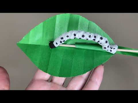 Видео: Анна Максименко, воспитатель Школы № 648. Двигающаяся гусеница