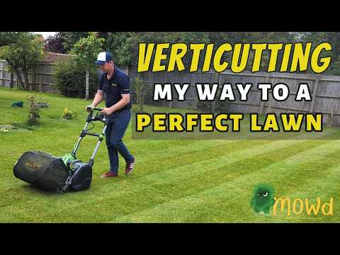 Видео: ВЕРТИКУТТИНГ - мой путь к идеальному газону