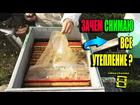 Видео: ЗАЧЕМ НАЧАЛО ПО ПРИНЦИПАМ ХОЛОДНОЙ ЗИМОВКИ ПЧЕЛ? ДЛЯ НАЧИНАЮЩИХ ПЧЕЛОВОДОВ 22-39