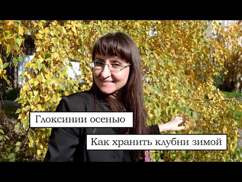 Видео: Как правильно подготовить глоксинию к периоду покоя. Хранение клубней зимой.